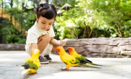 Aktivitas Seru Untuk Mengisi Waktu Luang