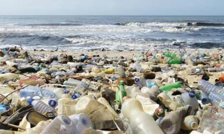 Isu Lingkungan: Perubahan Iklim Dan Tindakan Nyata