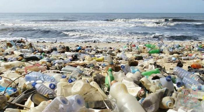 Isu Lingkungan: Perubahan Iklim Dan Tindakan Nyata