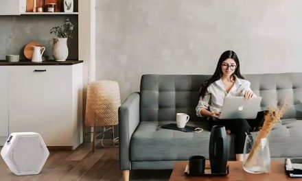 Gaya Hidup Minimalis Yang Semakin Populer Di Era Modern