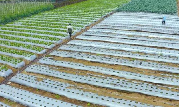 Aktivitas Ekonomi Daerah Terus Berkembang Di Berbagai Wilayah