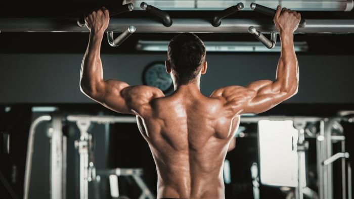 Program Gym Untuk Meningkatkan Massa Otot